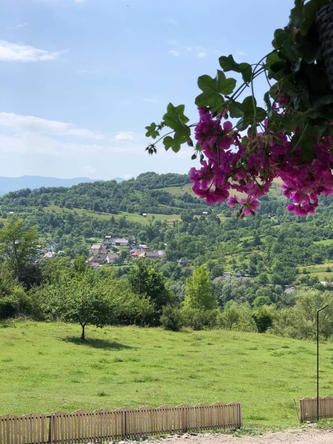 Mosia Dar In Rai Berbesti Exterior foto
